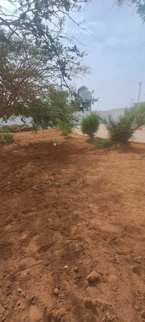 AMENAGEMENT DES jardin