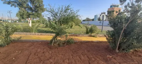 gazon&les arbres& les roses