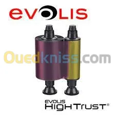 Ruban Evolis Pebble