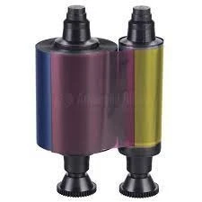 Ruban Evolis peeble / Tattoo