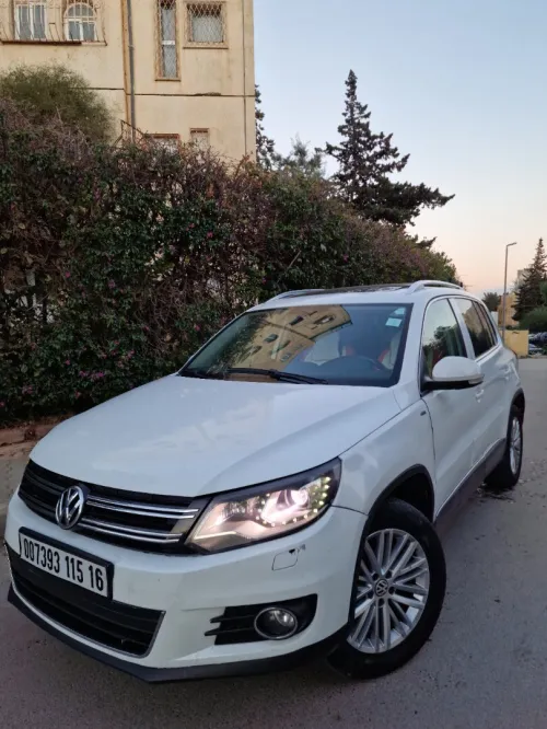 Volkswagen Tiguan 2015 Cup