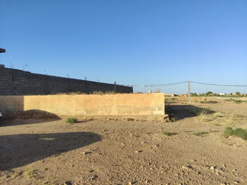Vente Terrain Laghouat El assafia