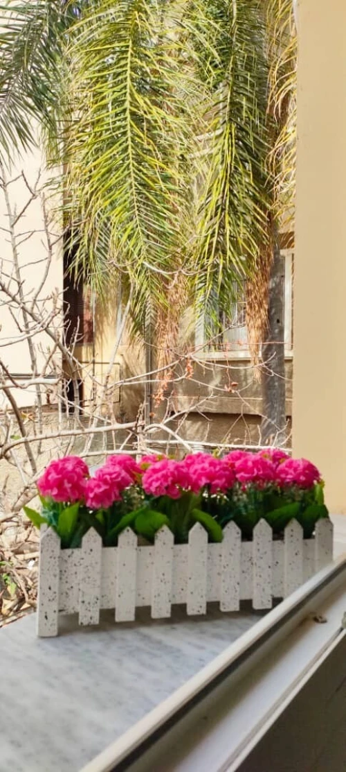 Location vacances Alger El mouradia