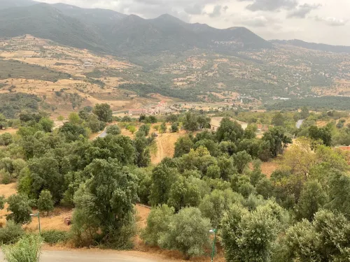 Vente bien immobilier Tizi ouzou Yakouren