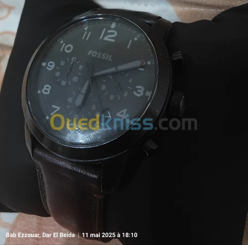 Monte fossil serie  fs5157