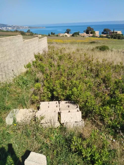 Vente Terrain Boumerdès Dellys