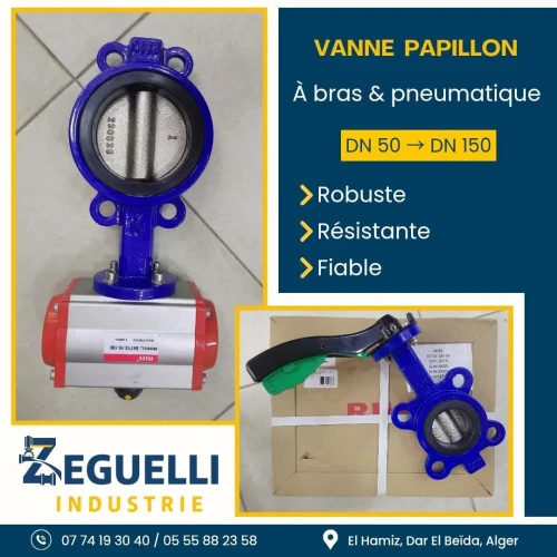 Vanne papillon et boisseau sphérique pneumatique 