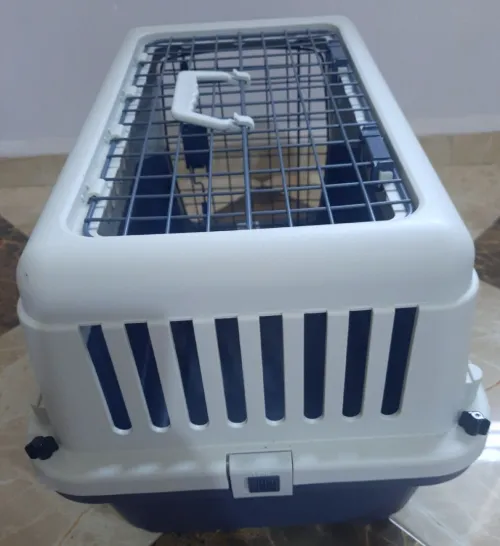 Box cages pour chien et chat marque Karlie