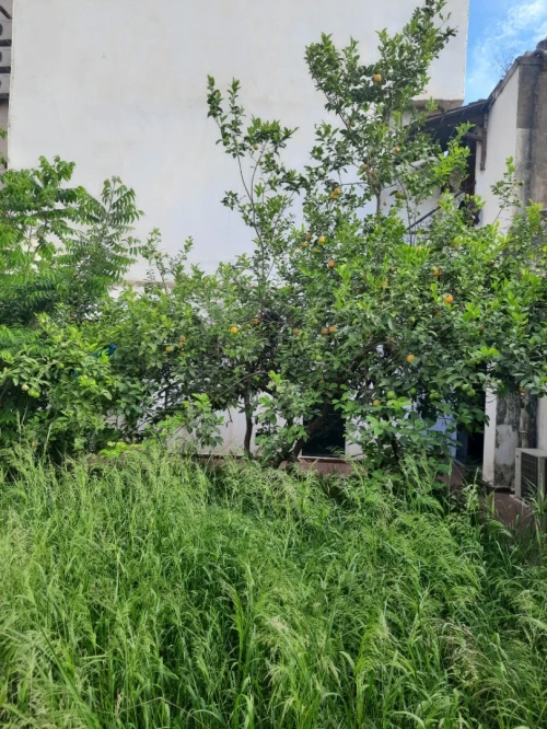 Vente Villa Blida Boufarik