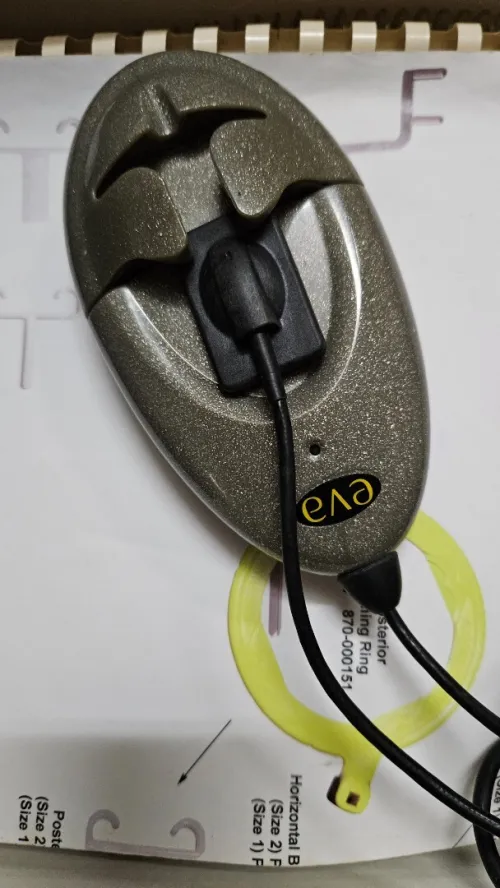 RVG