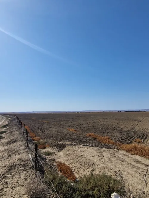 Vente Terrain Agricole Aïn Témouchent Ain el arbaa
