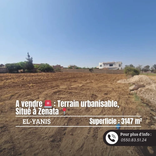Vente Terrain Tlemcen Zenata
