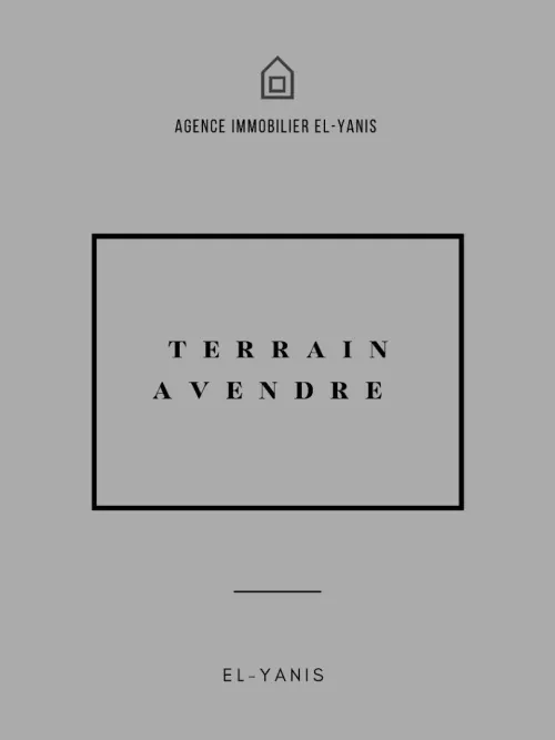 Vente Terrain Tlemcen Remchi