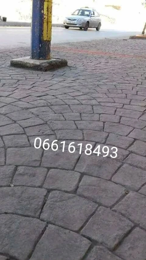 الطارف عنابة 
