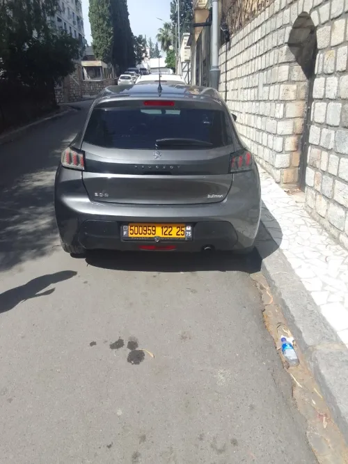 Peugeot 208 2022 208