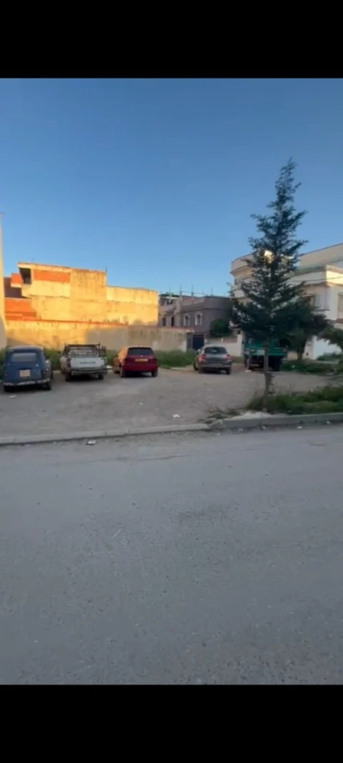 Vente Terrain Blida Beni mered