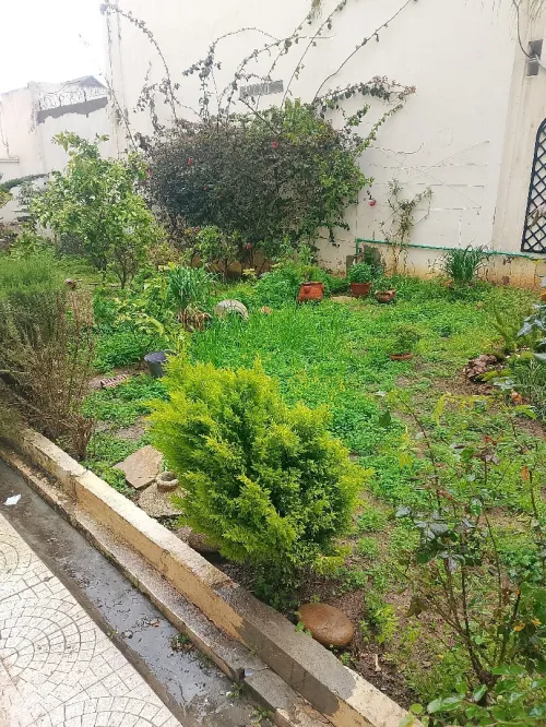 Location Appartement F3 Alger Hydra