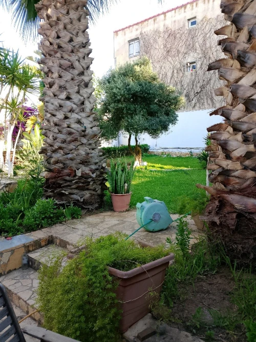 Vente Villa Alger Ain taya