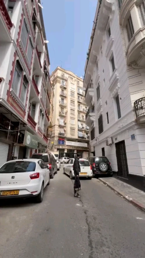 Vente Appartement Studio Alger Alger centre