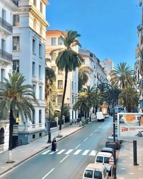 Location Appartement F3 Alger Alger centre