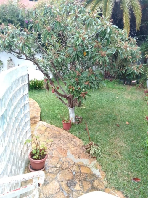 Location Villa Alger Hydra