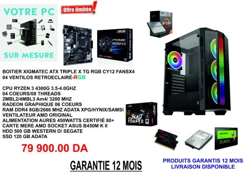 UNITE RYZEN3 4300 GE 