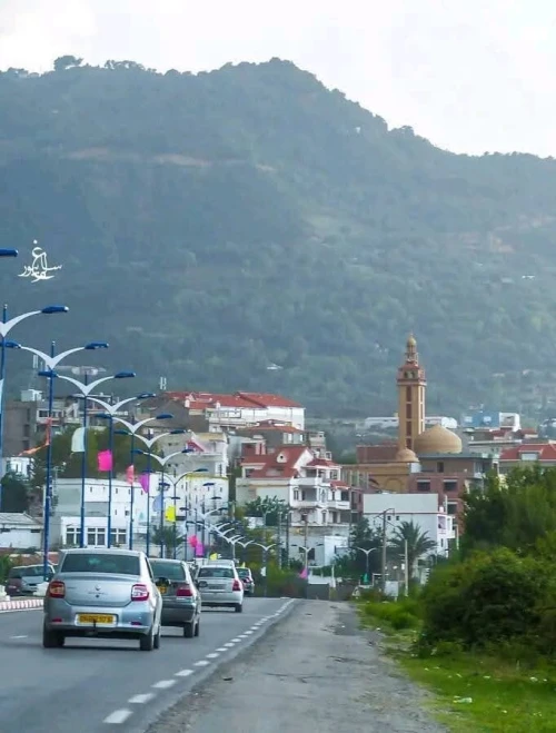 Vente Terrain Jijel El aouana