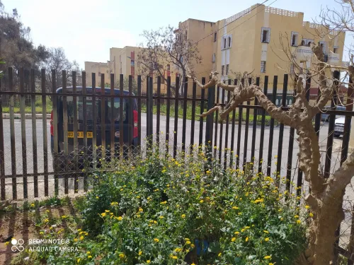 Location vacances Appartement F2 Alger Ain benian