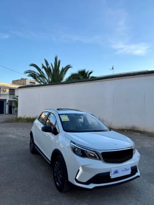 Livan X3 Pro  2026 livan_x3_pro_automatique_toit