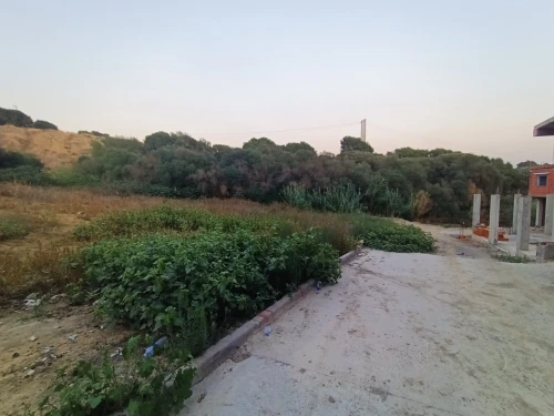 Vente Terrain Alger Douera