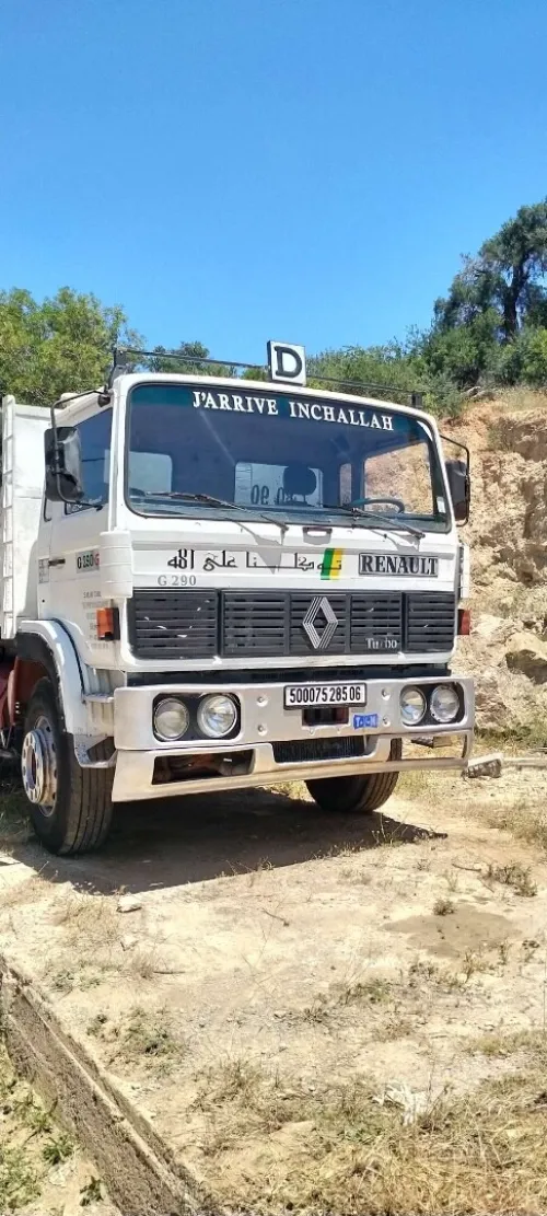 Raunult G290 1985
