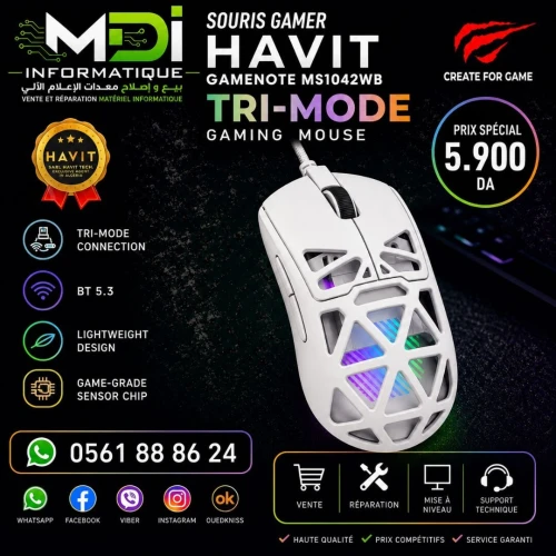 SOURIS HAVIT GAMENOTE MS1042WB