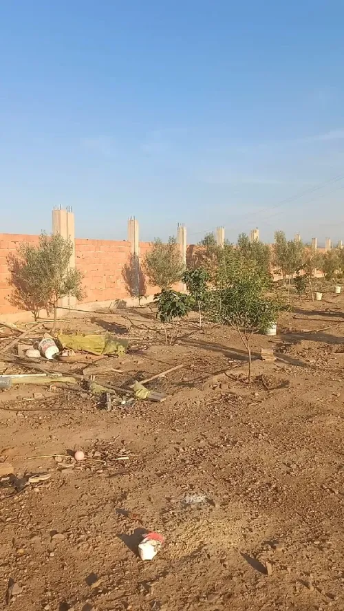 Vente Terrain Agricole Aïn Defla Djelida