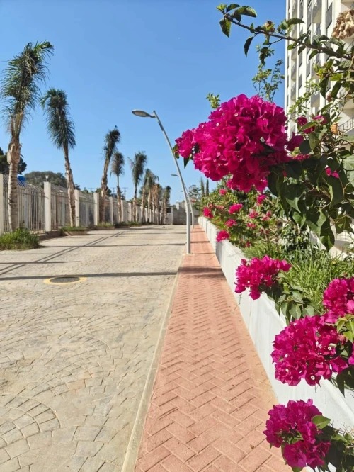 Vente Appartement Tipaza Kolea