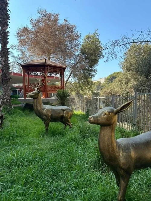 Vente Appartement Tipaza Kolea
