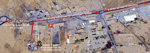 Location Terrain Bouira Dirrah