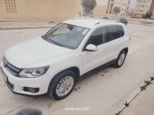 Volkswagen Tiguan 2014 Elegance 9