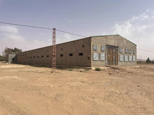 Vente Terrain Agricole Laghouat Laghouat