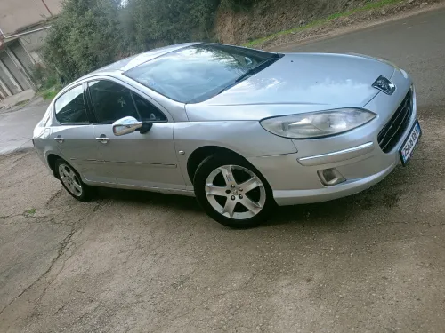 Peugeot 407 2008 407