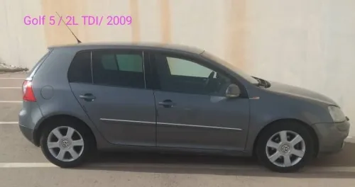 Volkswagen Golf 5 2009 2L TDI
