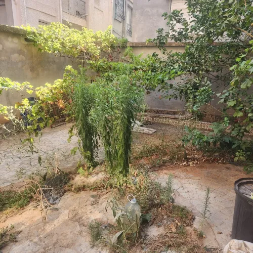 Location Villa Alger Ouled fayet