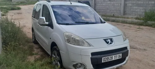 Peugeot Partner 2011 Tepee