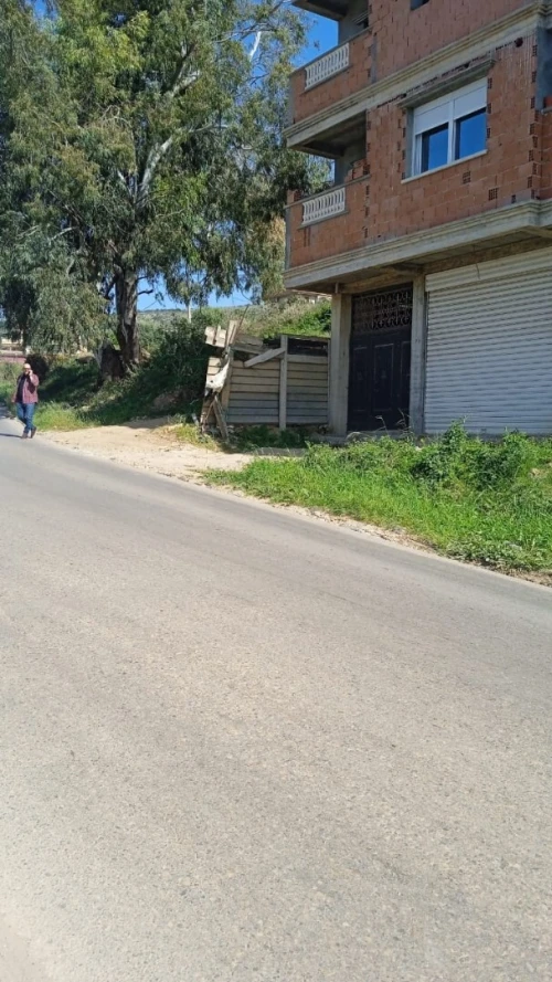 Vente Terrain Blida Meftah