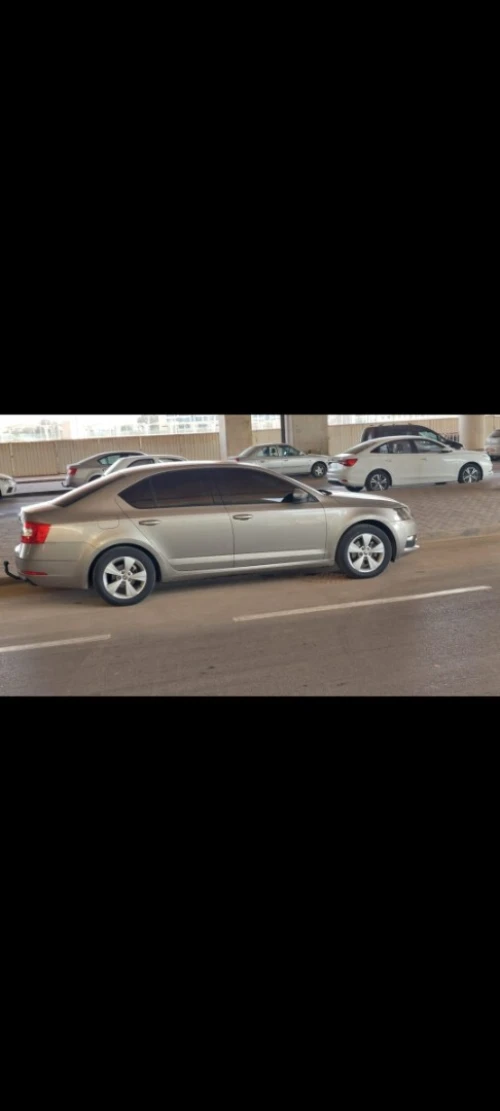 Skoda Octavia 2019 Business