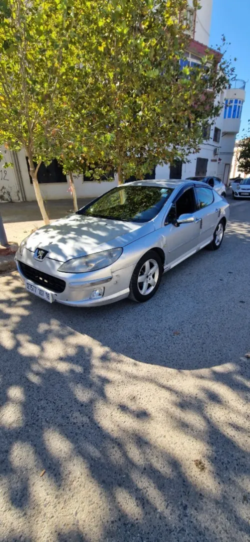 Peugeot 407 2007 407