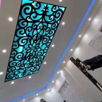 placo platre