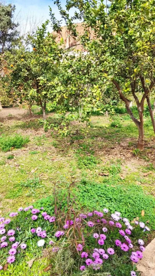 Vente Villa Tlemcen Ghazaouet