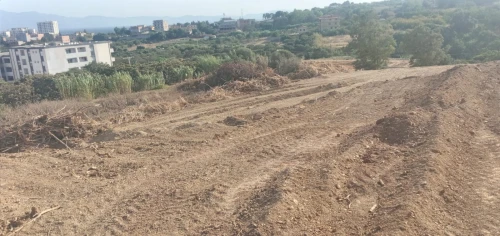 Vente Terrain Tipaza Kolea