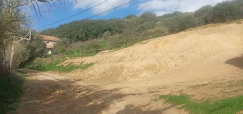 Vente Terrain Tipaza Kolea