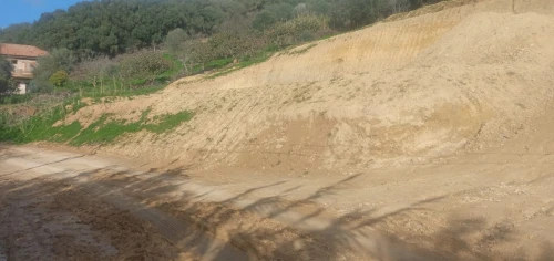 Vente Terrain Tipaza Kolea